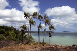  Palms at The Tip Cape York 